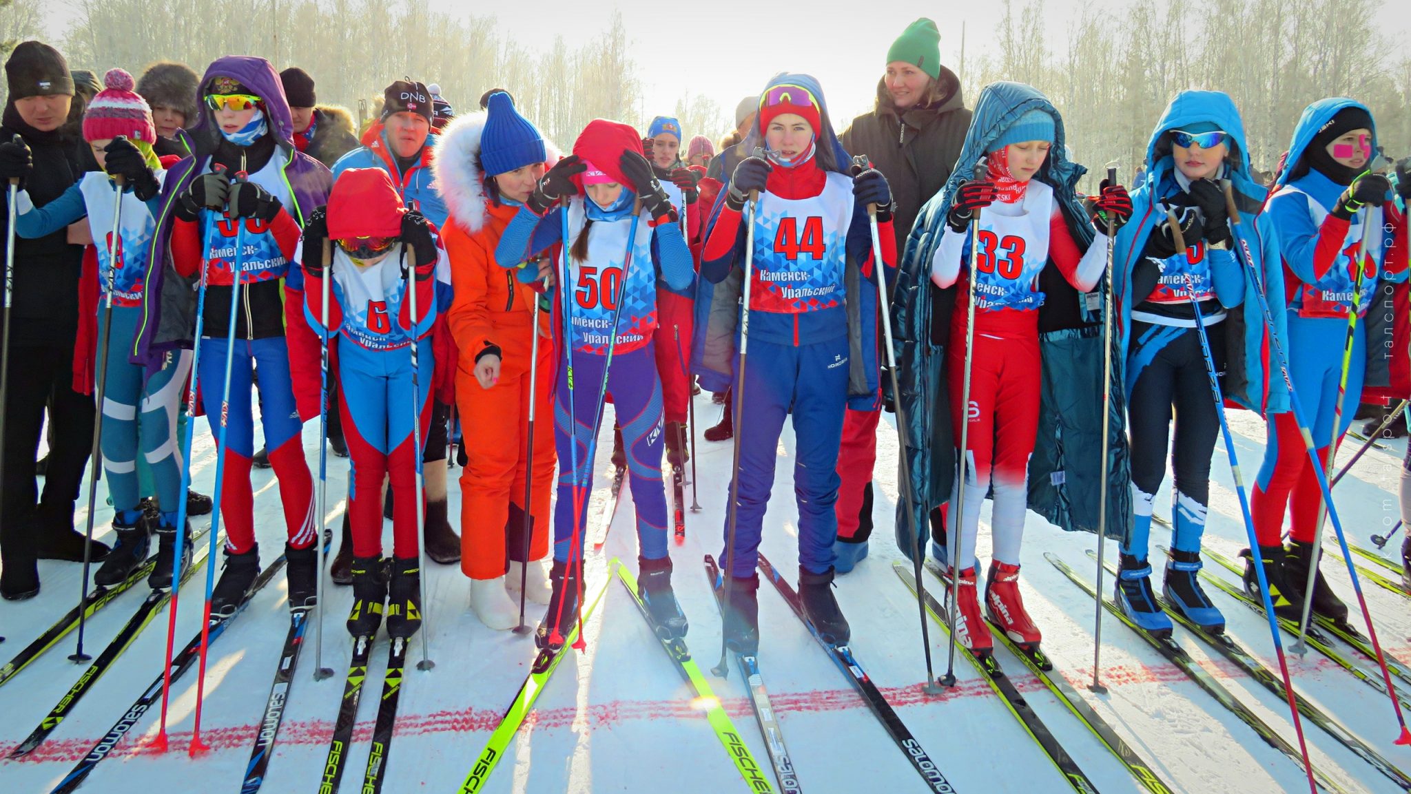 Спорт Союз Новосибирск по лыжным гонкам