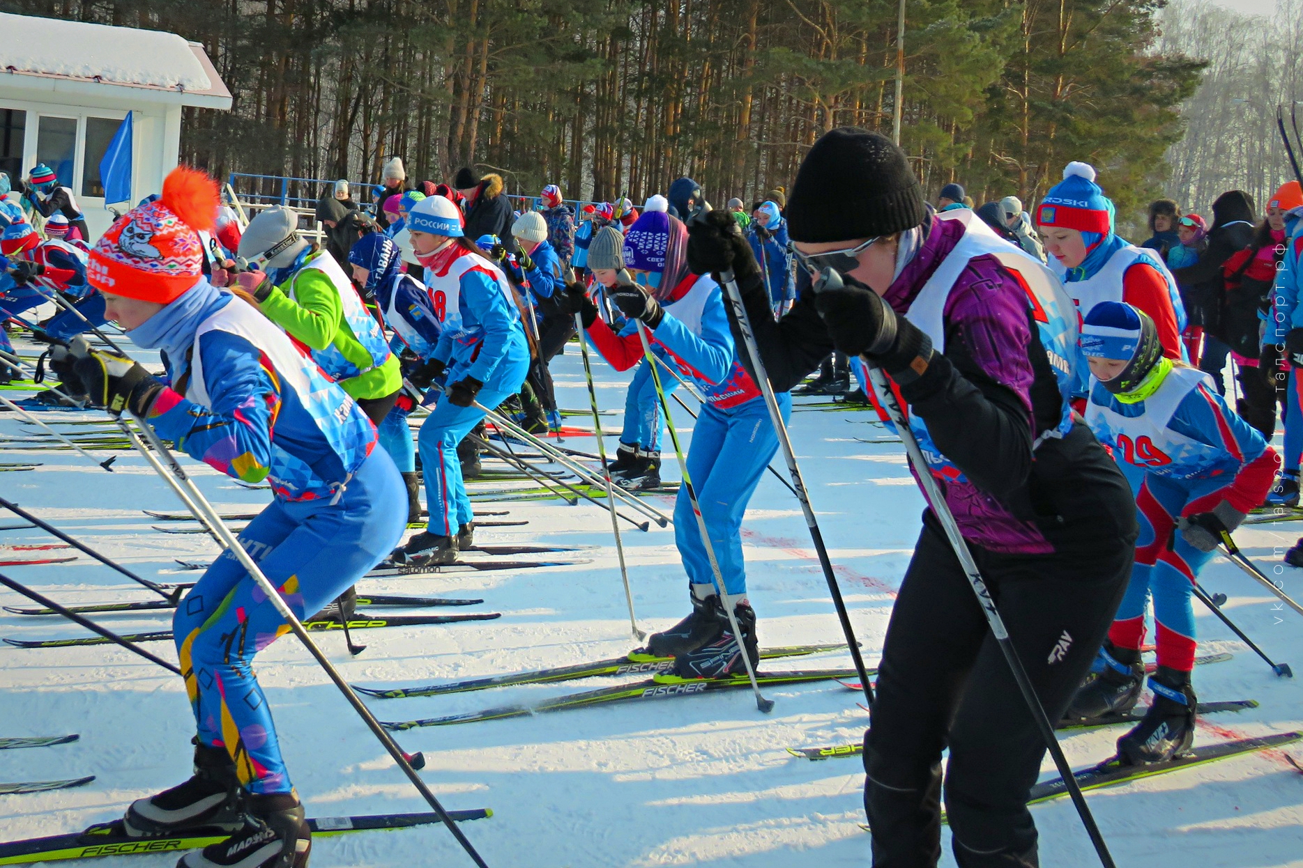 Ветераны лыжного спорта Псковской области